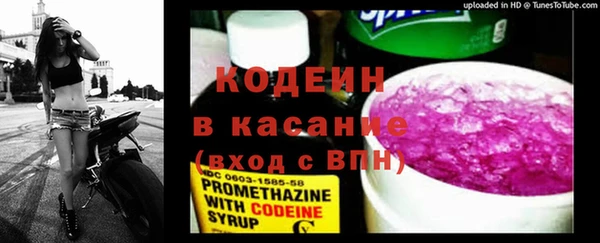 дмт Арсеньев
