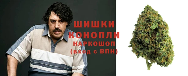 дмт Арсеньев