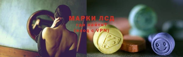 индика Балабаново