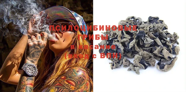 индика Балабаново
