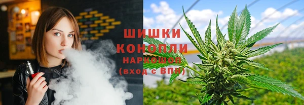 дмт Арсеньев