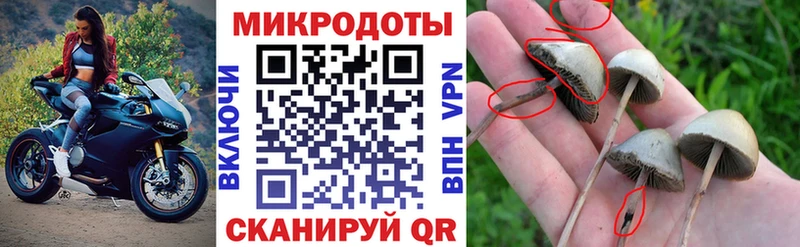 Псилоцибиновые грибы ЛСД  MEGA зеркало  Томмот 