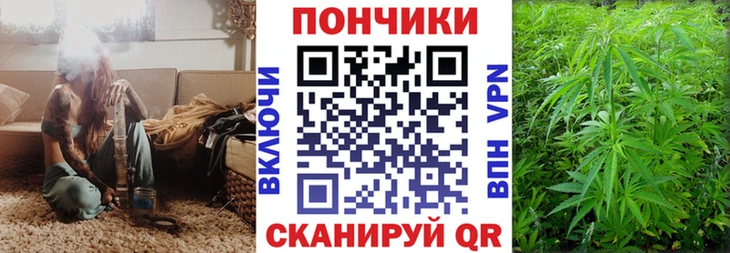 Бошки марихуана сатива  наркотики  Томмот 